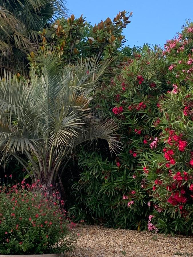 la dolce vita occitane Conilhac-Corbières Esterno foto